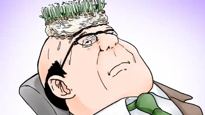 豆苗のスポンジ、パン、ぞうきんがけ他