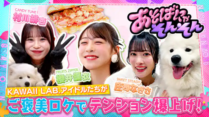 櫻井優衣(FRUITS ZIPPER)、村川緋杏(CANDY TUNE)、庄司なぎさ(SWEET STEADY)が超メロいモフモフ動物と戯れる！