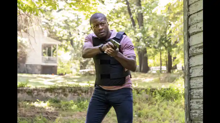 ゴールドラッシュ