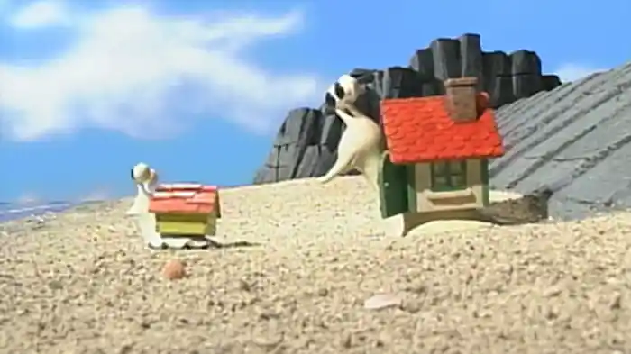 ジャム、海へ行く