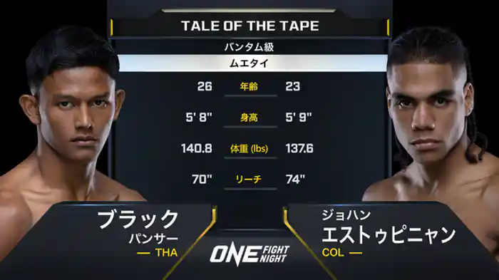 ブラック・パンサー vs. ジョハン・エストゥピニャン