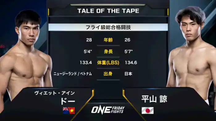 ヴィエット・アイン・ドー vs. 平山 諒