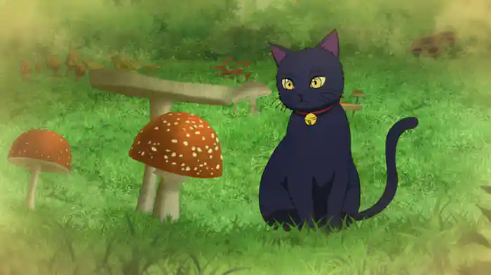 猫の森には帰れない