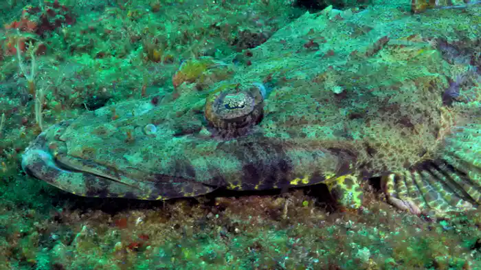 魅惑の地 イシマンガリソ