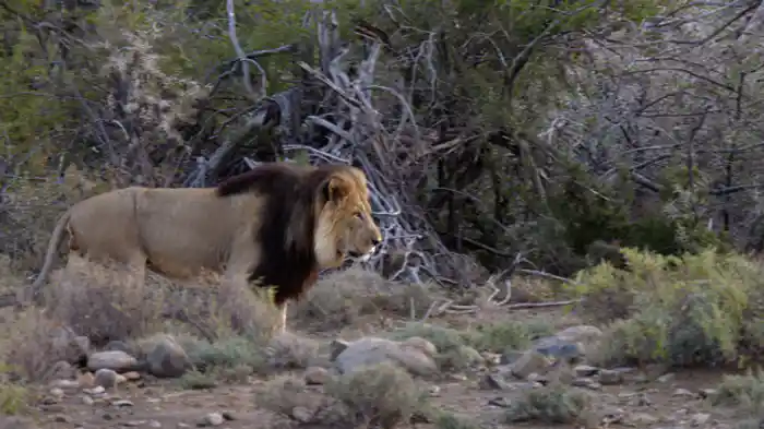 カルー国立公園