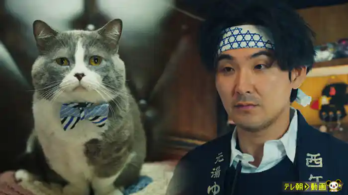 「Lost Cat Days 探偵」