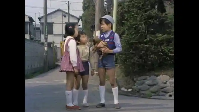 迷いこんで来たチビと小犬