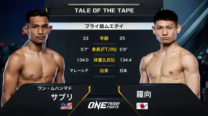 ワン・ムハンマド・サブリ vs 羅向