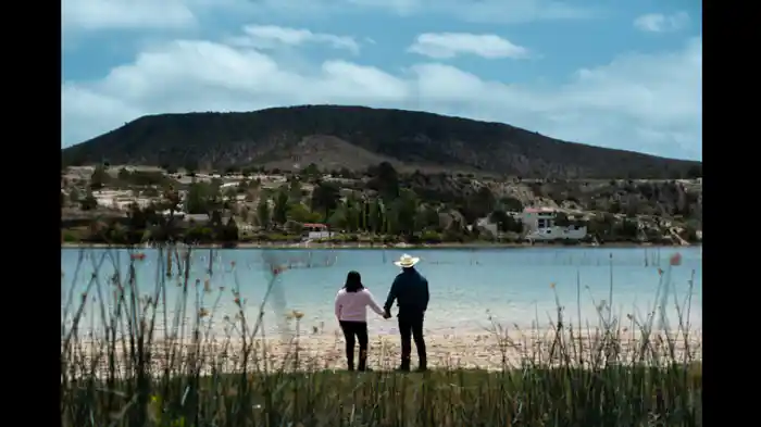 解剖報告書の矛盾