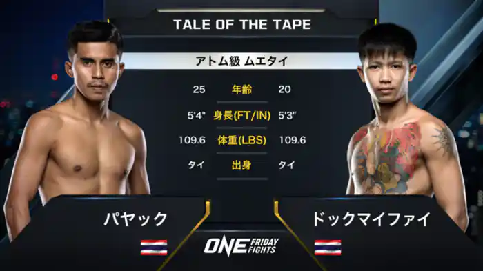パヤック vs. ドックマイファイ