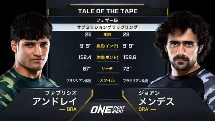 ファブリシオ・アンドレイ vs. ジョアン・メンデス