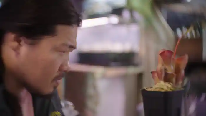 ギアナ高地と弱さと