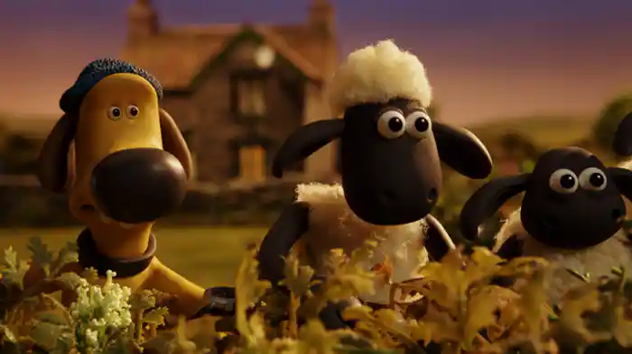 あやしいしんいり