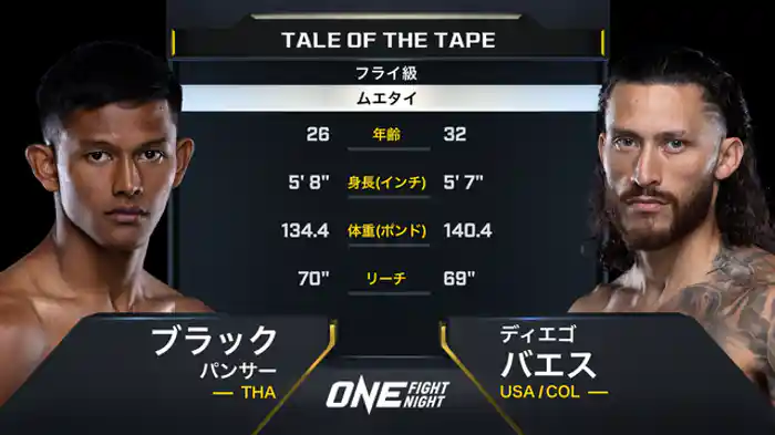 ブラック・パンサー vs. ディエゴ・パエス