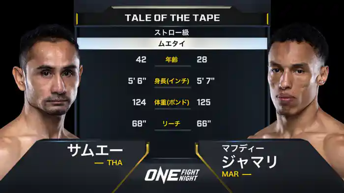 サムエー vs. マフディー・ジャマリ