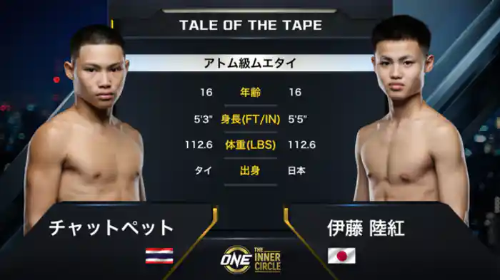チャットペット vs. 伊藤 陸紅