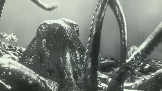 ウルトラQ（HDリマスター版） 第9話 「クモ男爵」(キッズ / 1966