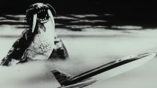 ウルトラQ（HDリマスター版） 第11話 「バルンガ」(キッズ / 1966