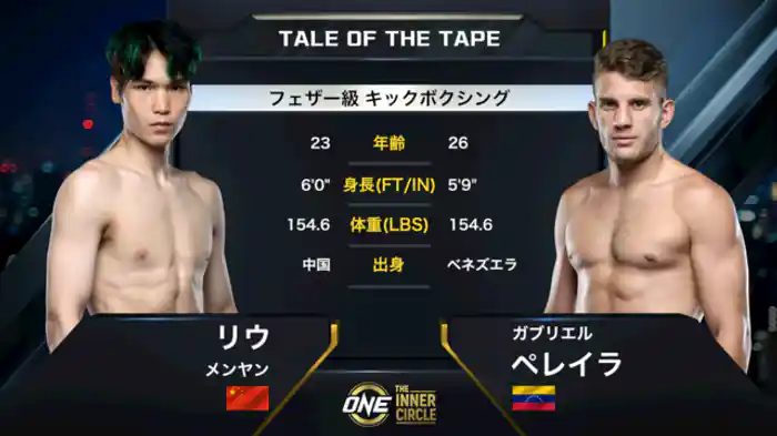 リウ・メンヤン vs. ガブリエル・ペレイラ