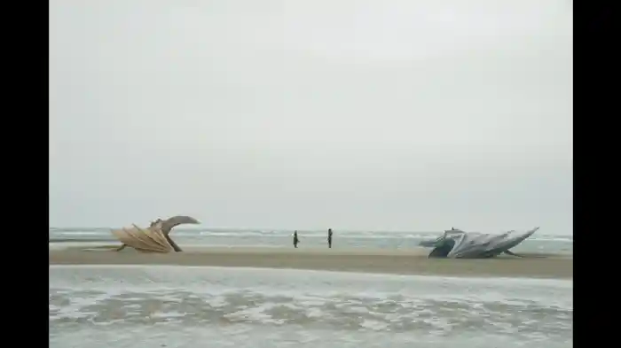 血の収穫