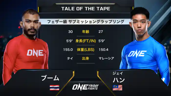ブーム vs. ジェイ・ハン