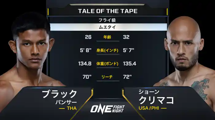 ブラック・パンサー vs. ショーン・クリマコ