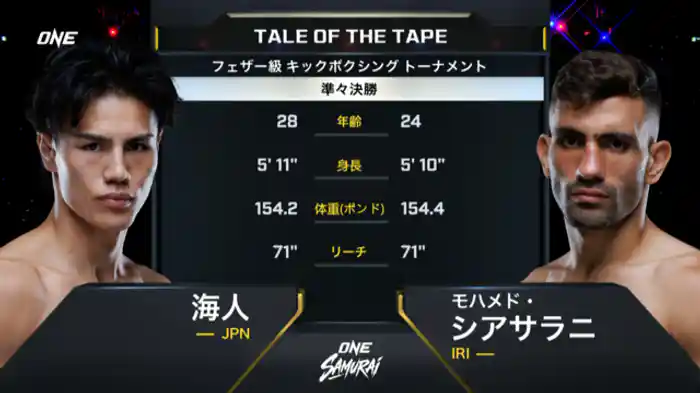 海人 vs. モハメド・シアサラニ