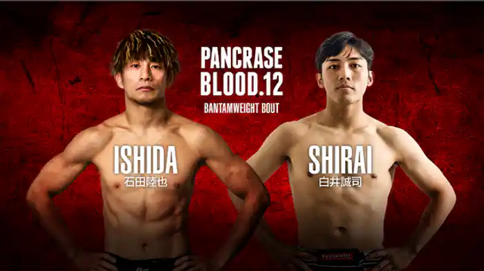 石田陸也 vs. 白井誠司