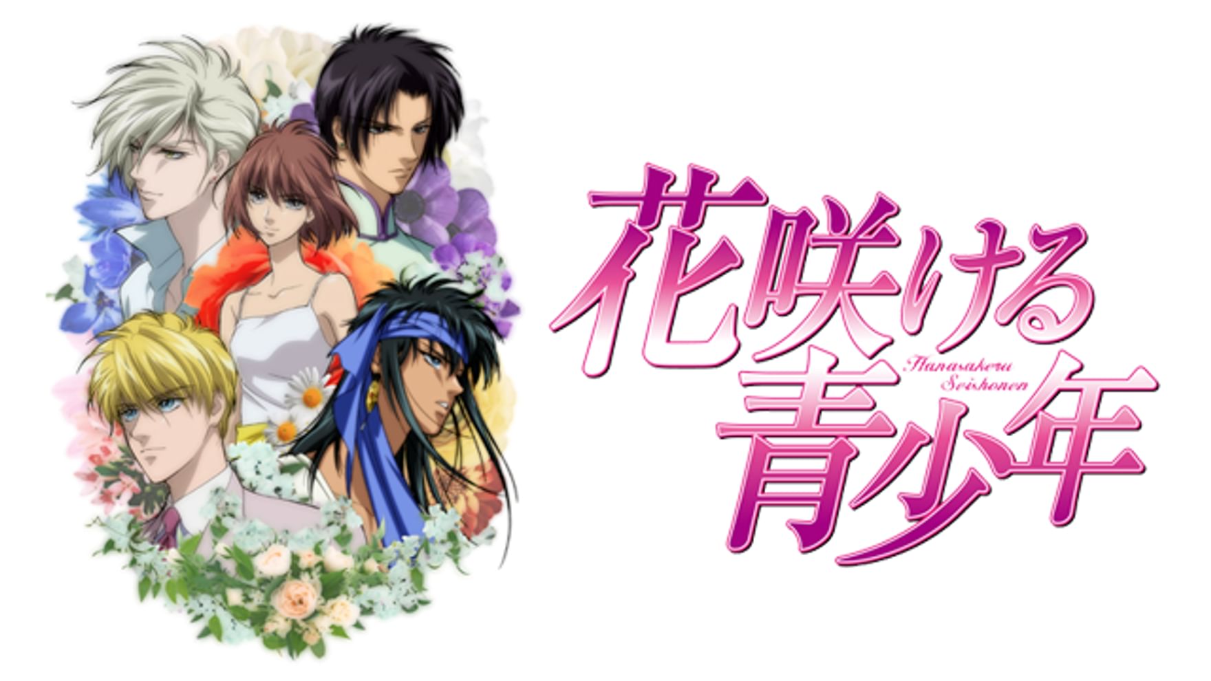 岩村琴美の動画視聴 あらすじ U Next