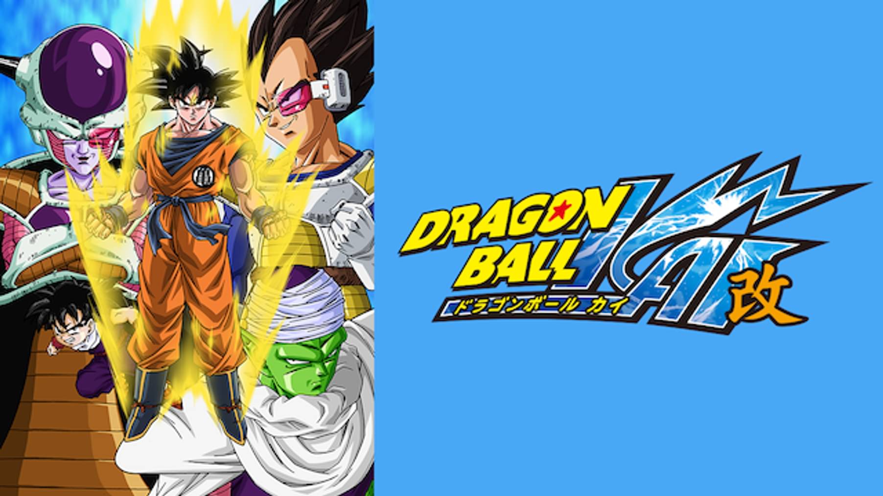 ドラゴンボール改(アニメ / 2009) - 動画配信 | U-NEXT 31日間無料 