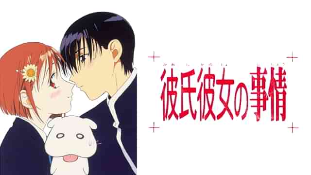 彼氏彼女の事情