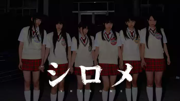 シロメ