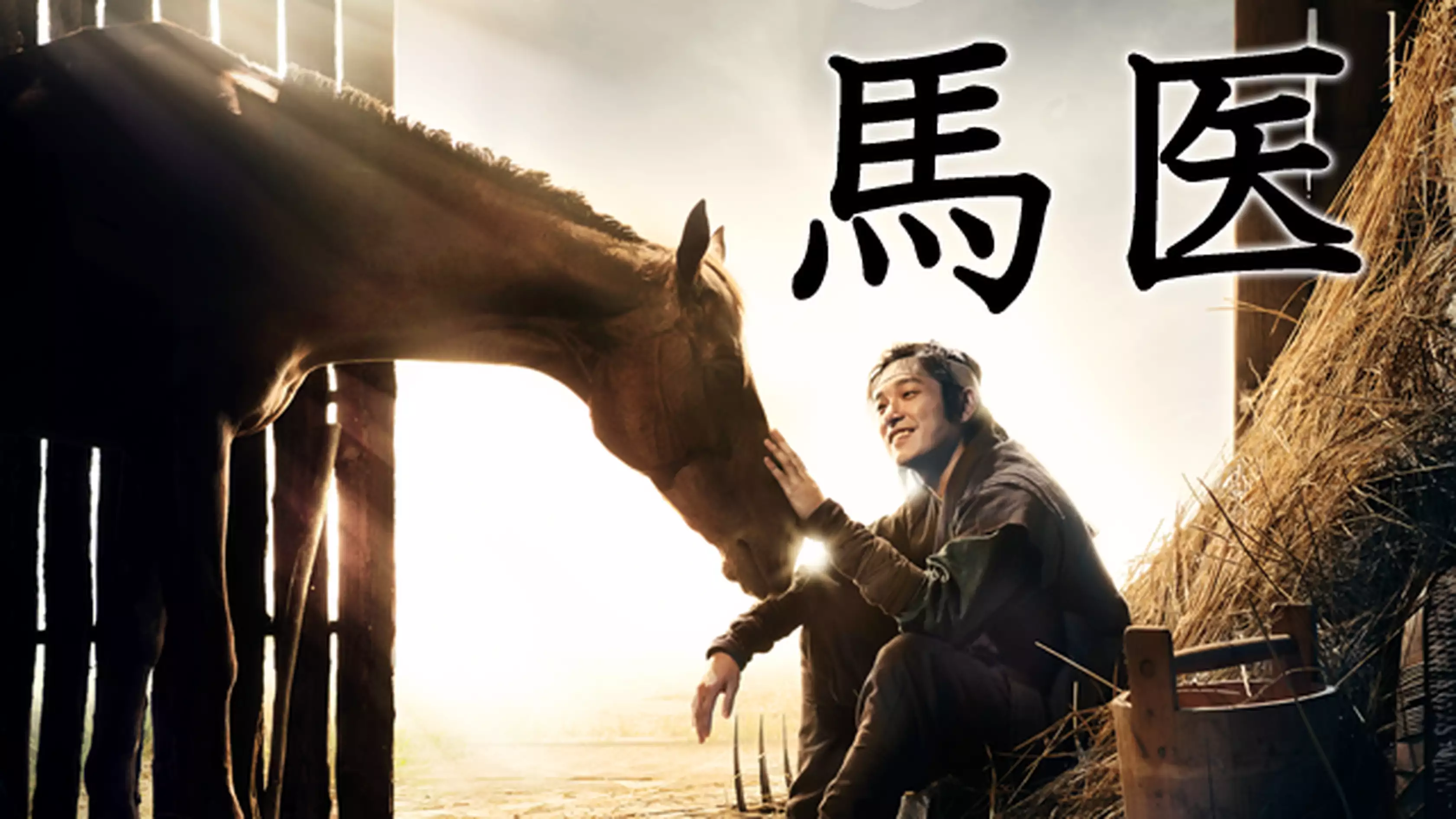 韓国ドラマ『馬医』の日本語字幕版の動画を全話見れる配信アプリまとめ