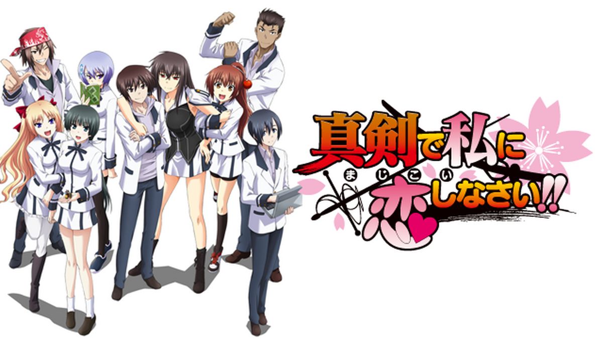 真剣で私に恋しなさい！(アニメ / 2011) - 動画配信 | U-NEXT 31