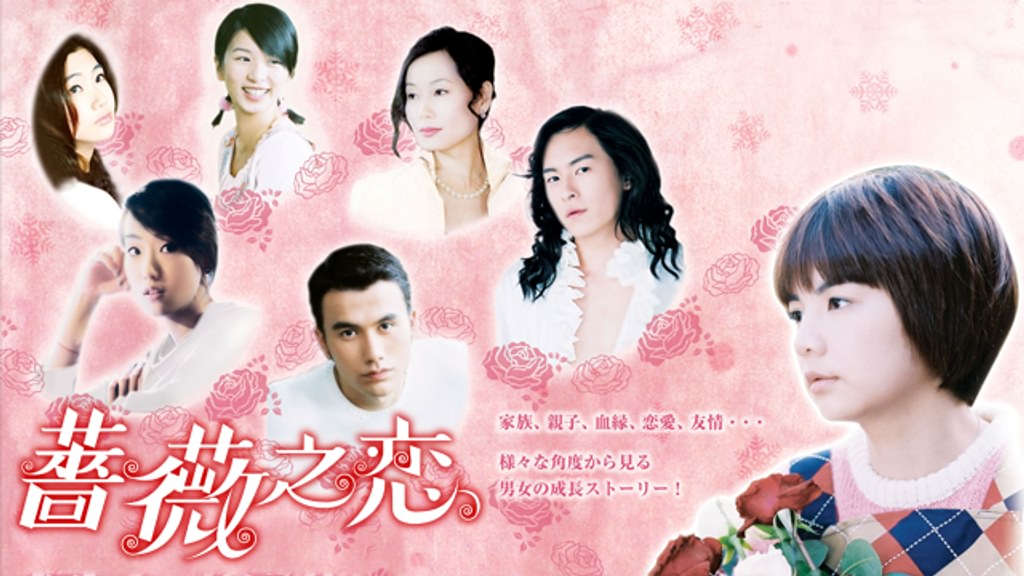 【お譲り品】ジョセフ・チェーン DVD ドラマ 薔薇之恋 台湾 薔薇之恋（薔薇のために）』HDVD(NTSC) 全4枚組 恋愛映画ドラマ