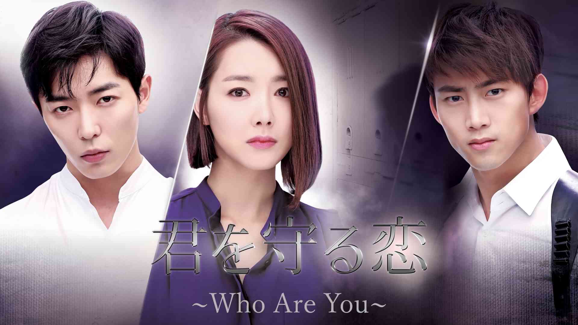 君を守る恋 ～Who Are You～