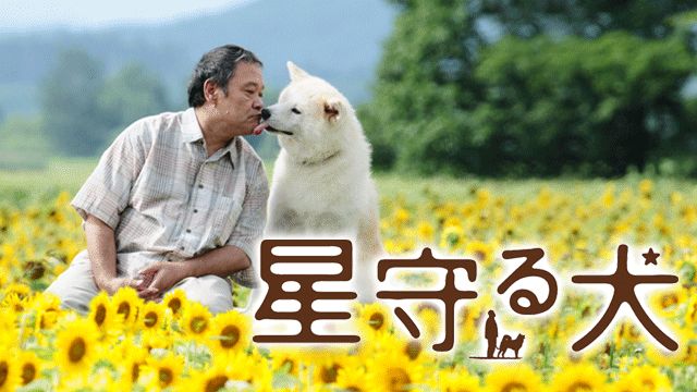 星守る犬