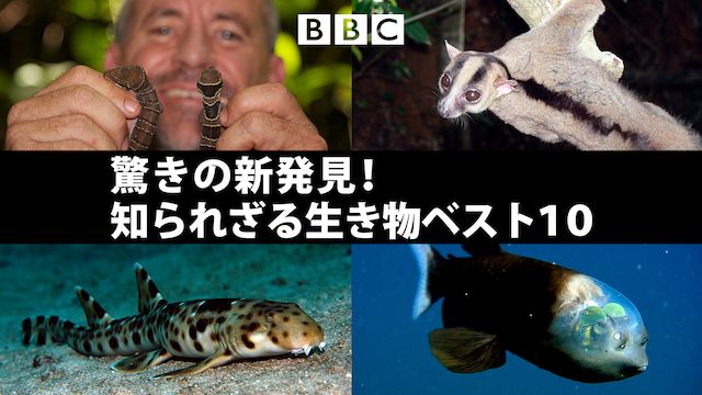 驚きの新発見! 知られざる生き物ベスト10