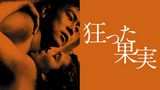 狂った果実