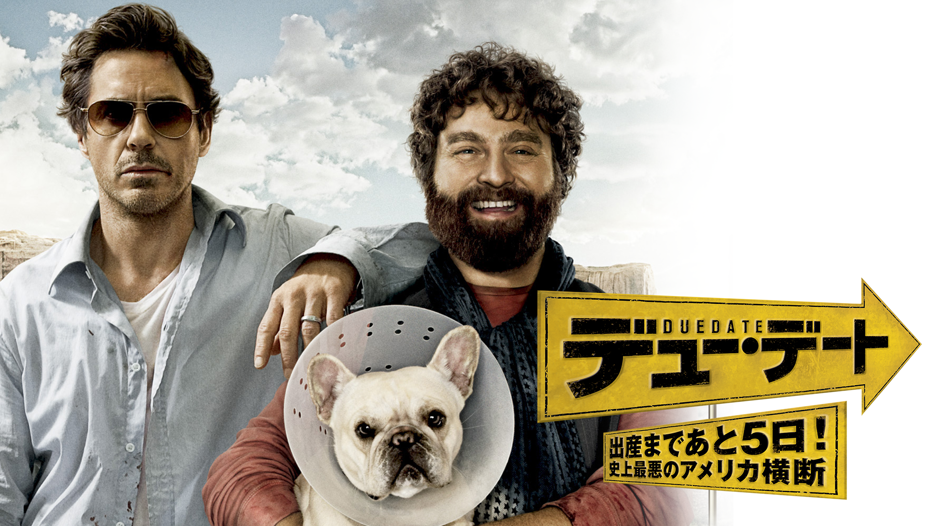 デュー･デート ～出産まであと５日！史上最悪のアメリカ横断～ - サムネイル
