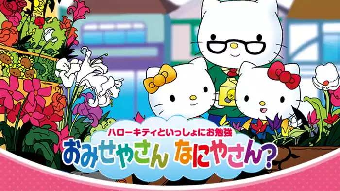 ハローキティといっしょにお勉強 おみせやさん なにやさん？ 5話入り