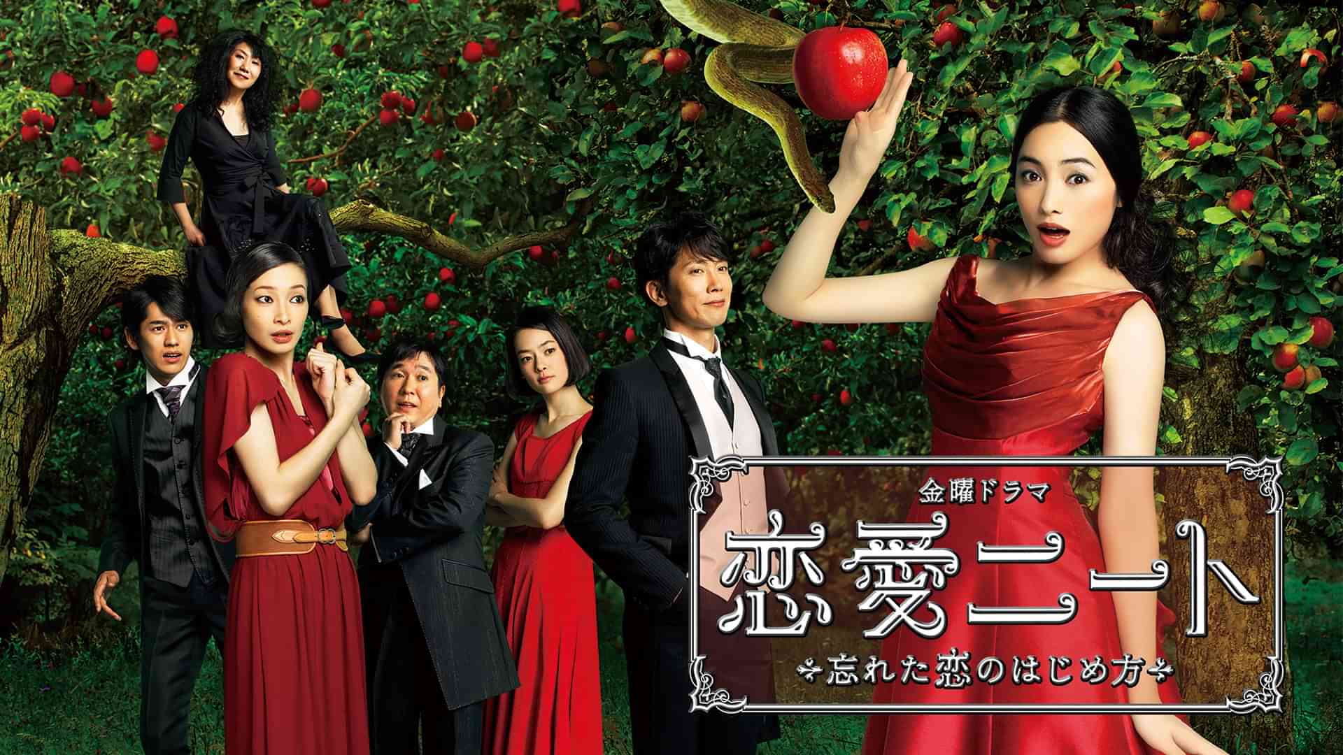 恋愛ニート～忘れた恋のはじめ方～