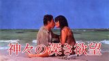 神々の深き欲望