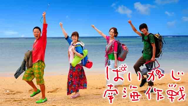 ぱいかじ南海作戦