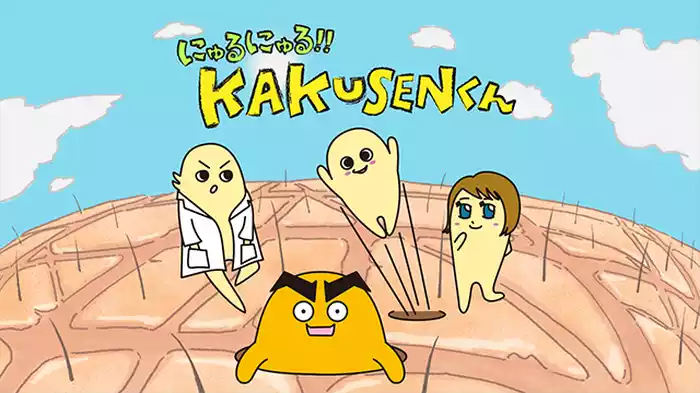 にゅるにゅる!!KAKUSENくん1期
