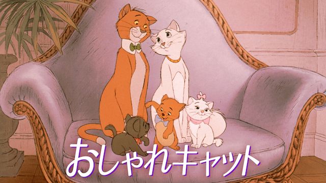おしゃれキャット