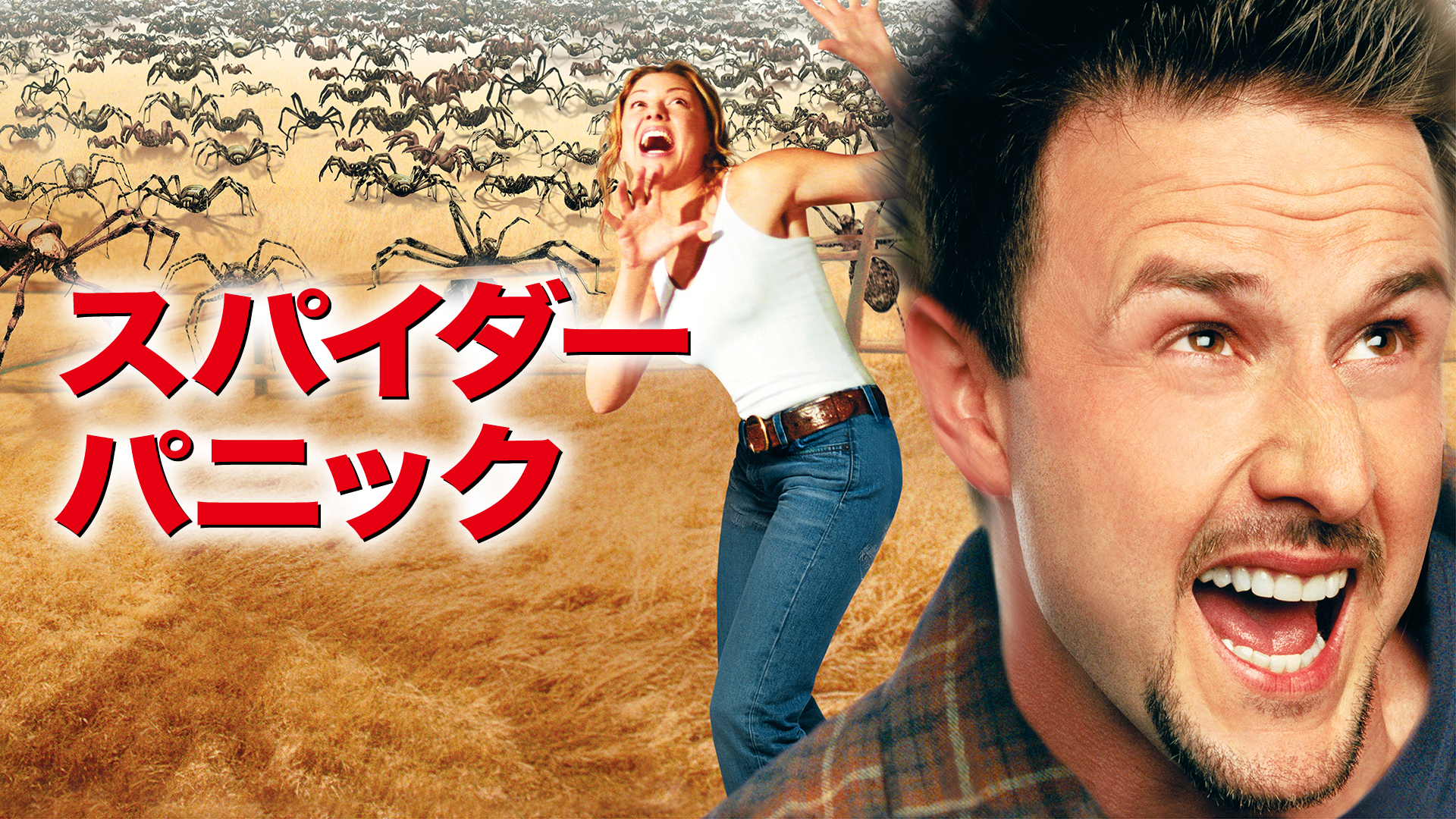 スパイダー パニック！ - サムネイル