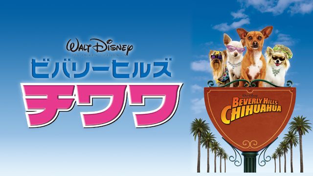 ビバリーヒルズ・チワワ