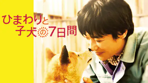 映画 ひまわりと子犬の7日間 をフル動画視聴できる無料配信サイト 映画 ひまわりと子犬の7日間 をフル動画視聴できる無料配信サイト