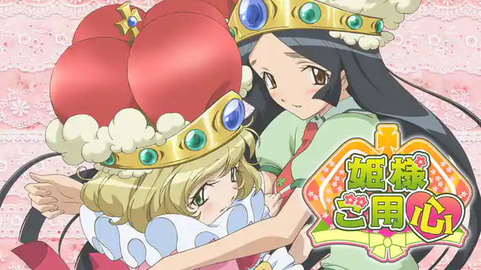 姫様ご用心